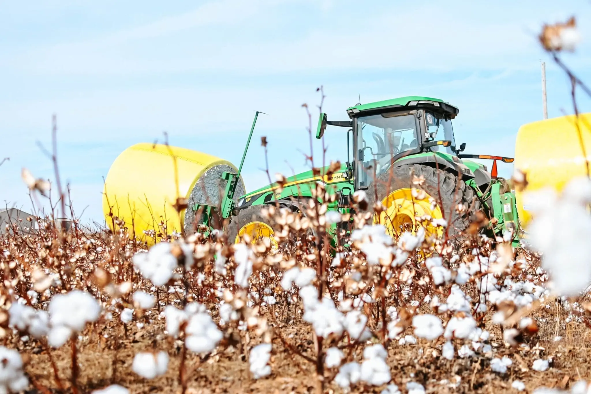 A John Deere 8R tractor moves cotton bales in a field of cotton