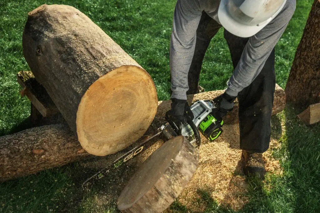 A person cuts a tree stump with an EGO chainsaw