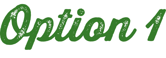 Option 1