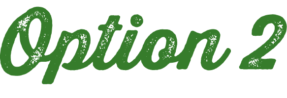 Option 2